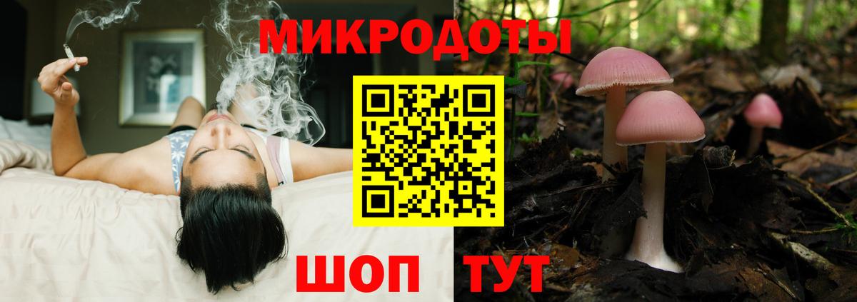 Галлюциногенные грибы Cubensis  цена   Псилоцибиновые грибы Cubensis  Сыктывкар  Вход с VPN 